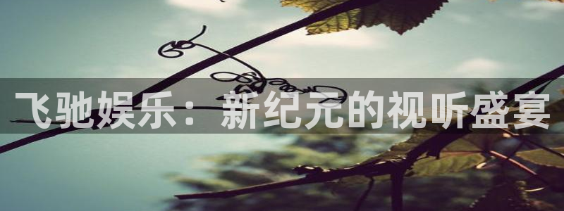 杏宇代理：飞驰娱乐：新纪元的视听盛宴