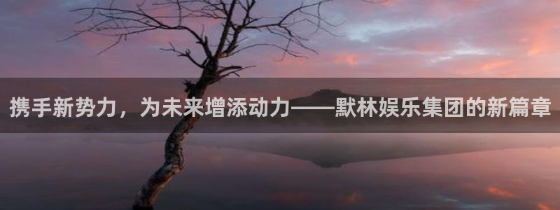 杏宇在线：携手新势力，为未来增添动力——默林娱乐集团的新篇章