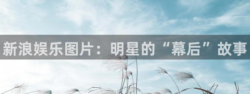 杏宇在线：新浪娱乐图片：明星的“幕后”故事