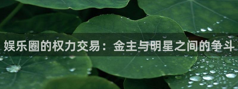 杏宇平台：娱乐圈的权力交易：金主与明星之间的争斗