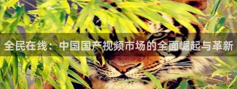 杏宇平台：全民在线：中国国产视频市场的全面崛起与革新