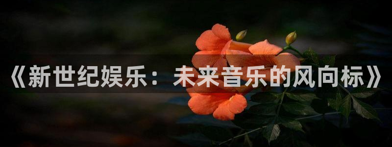 杏宇在线：《新世纪娱乐：未来音乐的风向标》